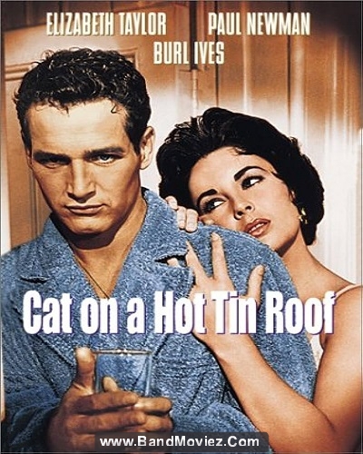 دانلود دوبله فارسی فیلم گربه روی شیروانی داغ Cat On A Hot Tin Roof 1958